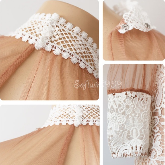 Ivory Nude Crochet Lace Mock Illusion Sheath Dress - Picture 6 of 8